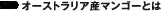 オーストラリア産マンゴーとは